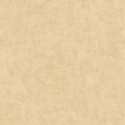 Papier peint intissé uni beige moyen BASIC - Perspectives par Grandeco - A51511