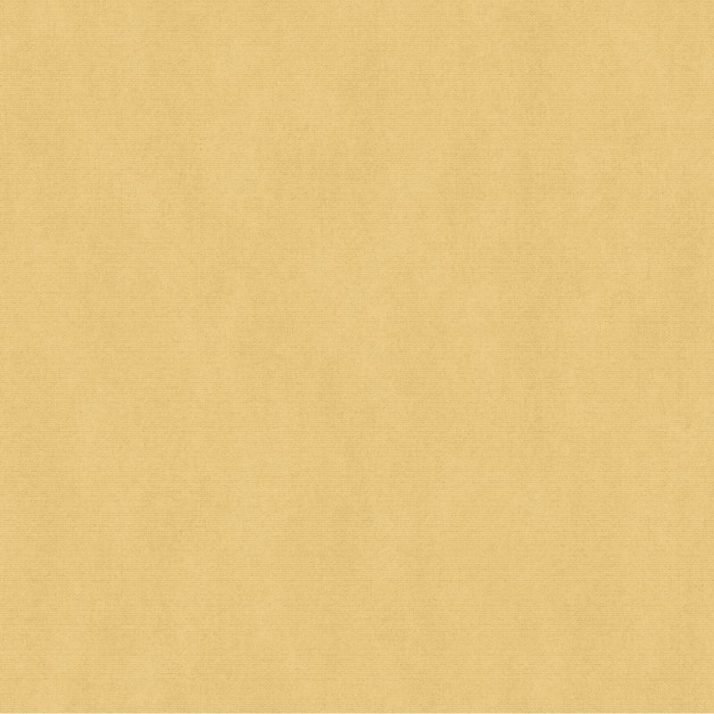 Papier peint intissé uni jaune TOILE - Essentiel par Ugepa - F79302