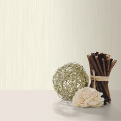 Papier peint vinyle sur intissé uni pailleté blanc cassé TOILE - Essentiel par Ugepa - J91000