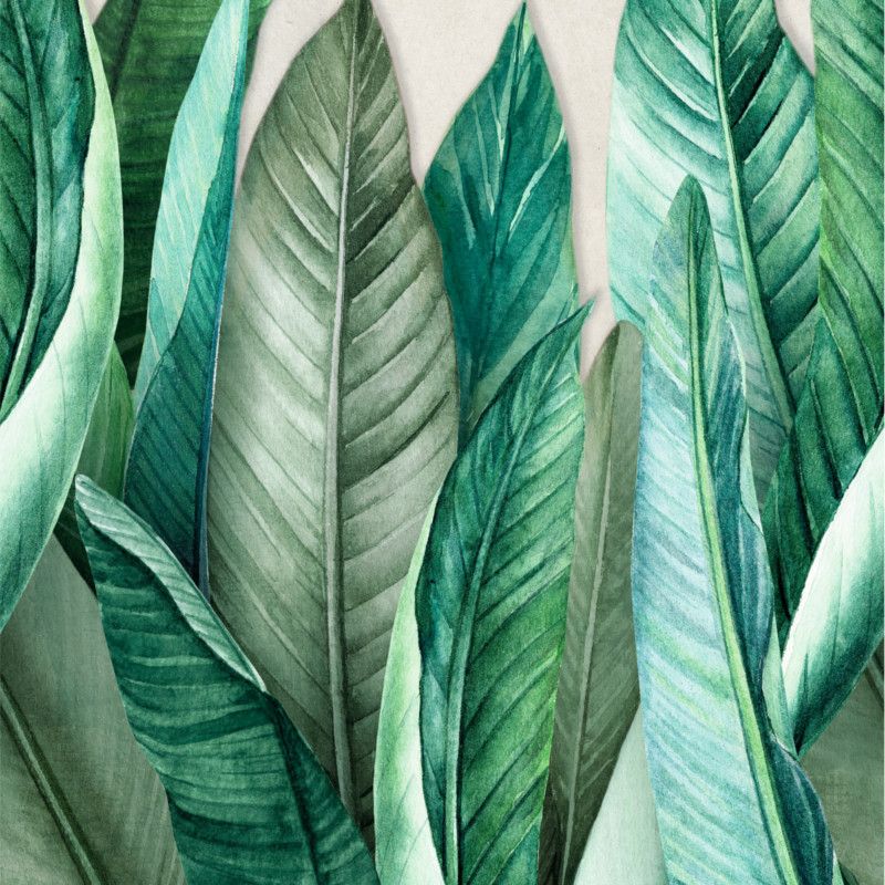 Panoramique vinyle sur intissé floral vert bouteille et vert d'eau BANANIER - Collector par Grandeco - A439501