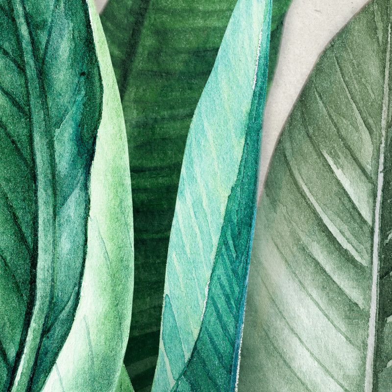 Panoramique vinyle sur intissé floral vert bouteille et vert d'eau BANANIER - Collector par Grandeco - A439501