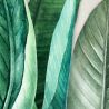 Panoramique vinyle sur intissé floral vert bouteille et vert d'eau BANANIER - Collector par Grandeco - A439501