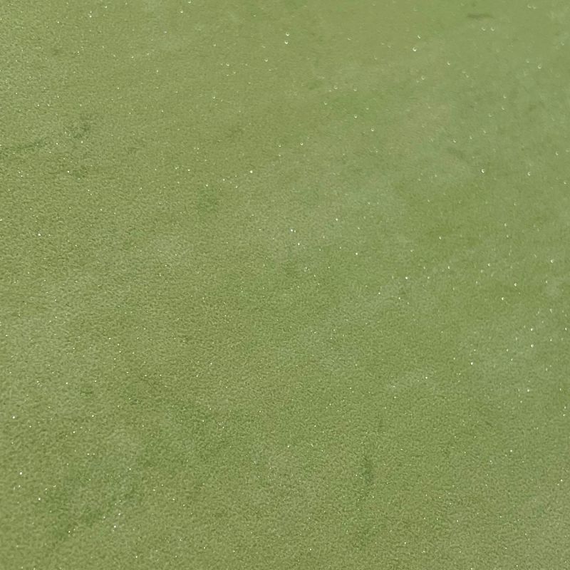 Papier peint expansé sur intissé uni pailleté vert anis BASIC - Essentiel par Ugepa - J85004