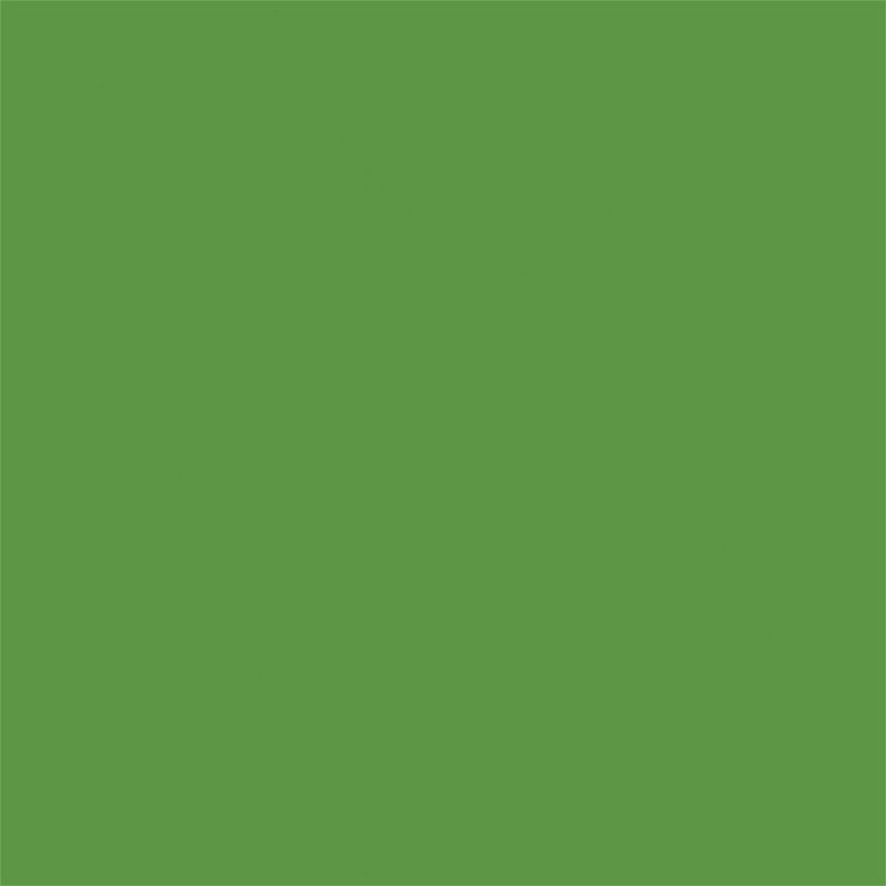 Sol Vinyle/PVC - 2m - uni vert gazon DJ GRASS GREEN- Exclusive 260 par Tarkett