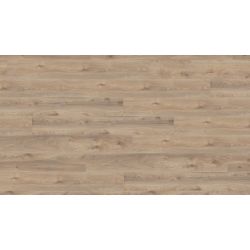 Sol Stratifié CHENE BEIGE D3669+ - Mammut Plus par Kronotex