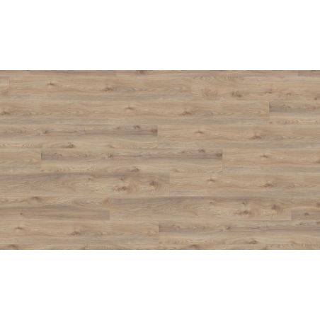 Sol Stratifié CHENE BEIGE D3669+ - Mammut Plus par Kronotex Sol Stratifié CHENE BEIGE D3669+ - Mammut Plus par Kronotex