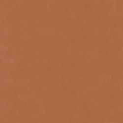 Papier peint vinyle sur intissé uni terre de sienne BASIC - Baltic par Casadeco - 25033110
