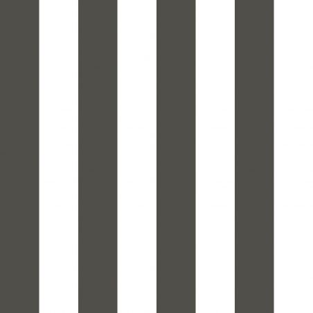 Papier peint standard rayure noir et blanc RAYURE - Love par Caselio - 64029087