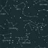 Papier peint intissé graphique bleu nuit phosphorescent et blanc CONSTELLATIONS - Our Planet par Caselio - 101916918