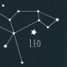 Papier peint intissé graphique bleu nuit phosphorescent et blanc CONSTELLATIONS - Our Planet par Caselio - 101916918