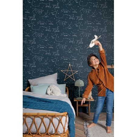 Papier peint intissé graphique bleu nuit phosphorescent et blanc CONSTELLATIONS - Our Planet par Caselio - 101916918