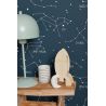 Papier peint intissé graphique bleu nuit phosphorescent et blanc CONSTELLATIONS - Our Planet par Caselio - 101916918