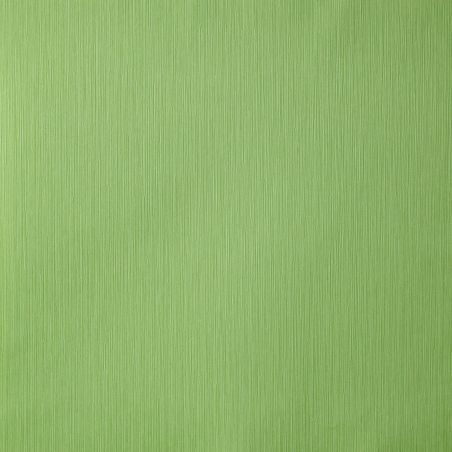 Papier peint vinyle sur intissé uni vert anis BASIC - Amazonia par Caselio - 66497270